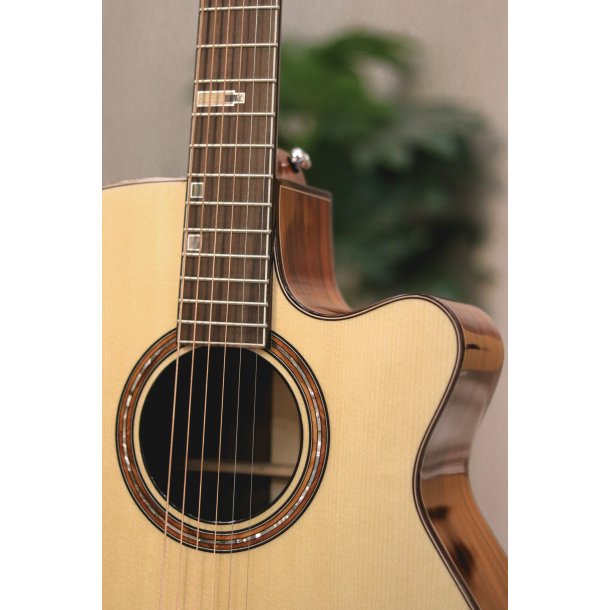 Fonzo V-201S OM Cutaway